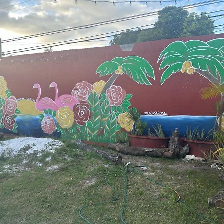 Villa La Casa Rosal, Pool Campeche Exterior foto