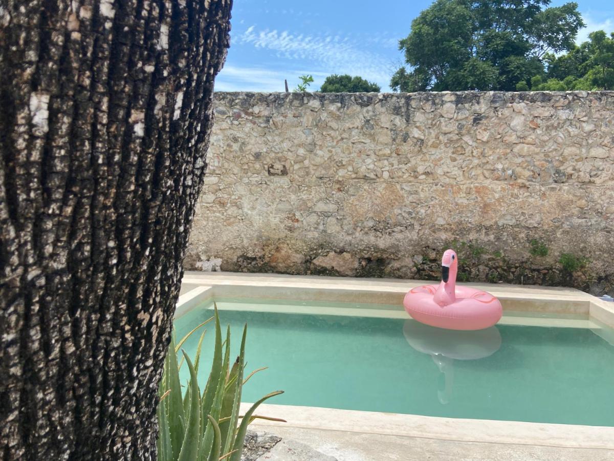 Villa La Casa Rosal, Pool Campeche Exterior foto